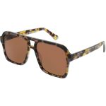 Alessandro Purple Tortoise